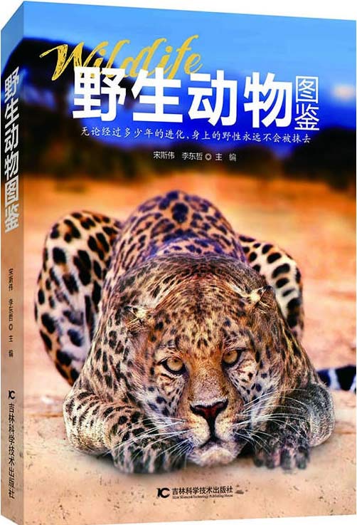 野生动物图鉴 全彩扫描版 PDF电子书-下载
