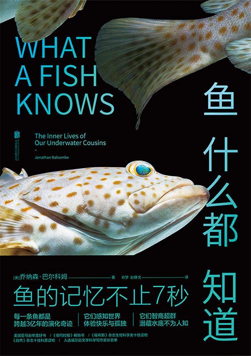 鱼什么都知道 鱼的记忆不止7秒 PDF电子书