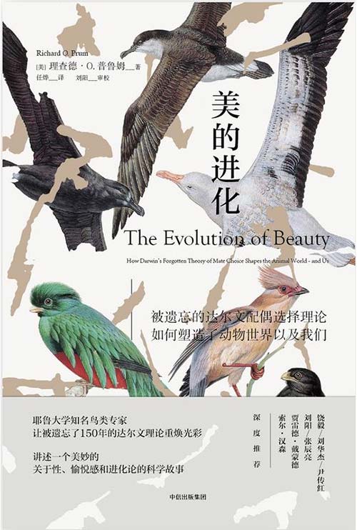 美的进化：被遗忘的达尔文配偶选择理论，如何塑造了动物世界以及我们 PDF电子书