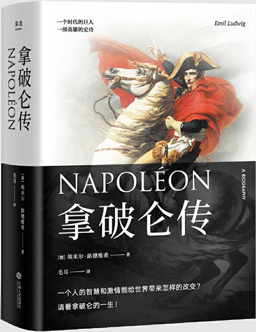 拿破仑传 PDF电子书下载