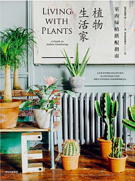 植物生活家：室内绿植搭配指南 室内植物圣经，黄金搭配法则