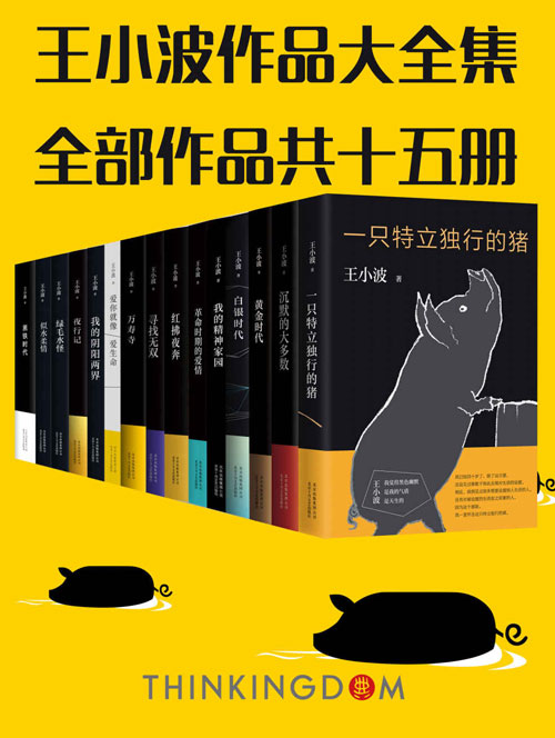 王小波真正大全集（15册）王小波是书店里永不消失的风景！读过这套，才算完整读过王小波