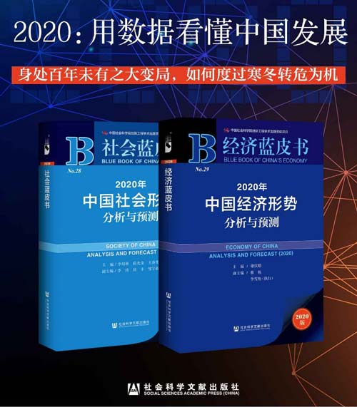 2020：用数据看懂中国发展 经济蓝皮书+社会蓝皮书