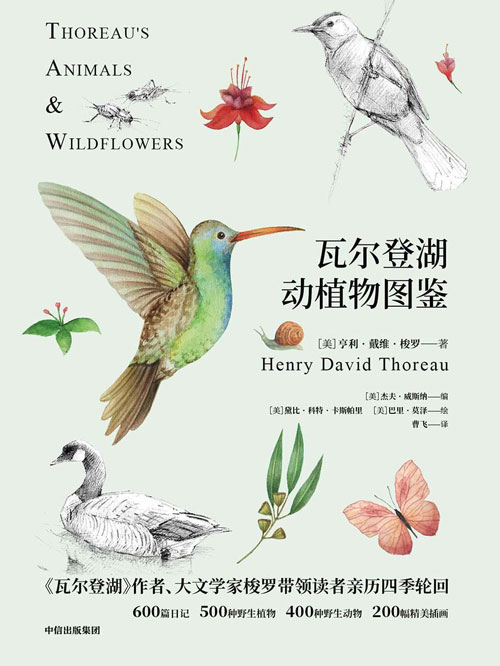 瓦尔登湖动植物图鉴 动物篇植物篇共2册 500种野生植物，400种野生动物，200幅精美插图