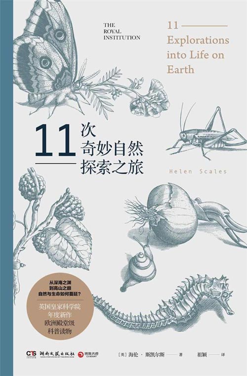 11次奇妙自然探索之旅 欧洲殿堂级科普读物，关于自然与生命的重磅科普之书