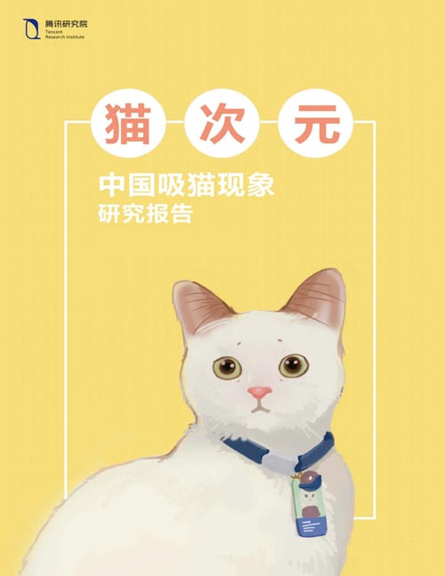 猫次元：中国吸猫现象研究报告 腾讯研究院