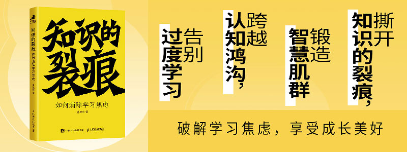 《知识的裂痕：如何消除学习焦虑》知识消费时代学习力提升手册，锻造智慧肌群，跨越认知鸿沟，告别过度学习，打破